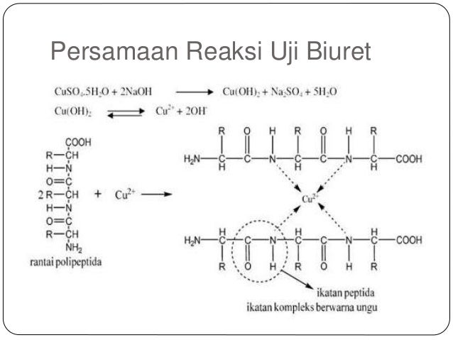 Reaksi Uji Biuret